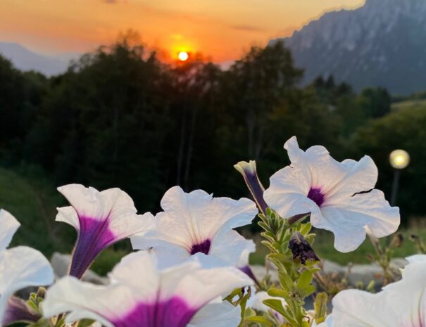 xr:d:DAFAXfxw3aA:64,j:34818014847,t:22090813