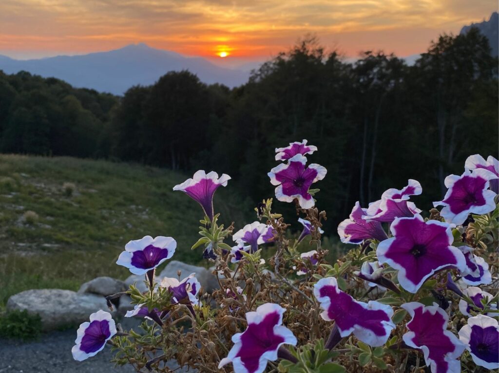 xr:d:DAFAXfxw3aA:64,j:34818014847,t:22090813