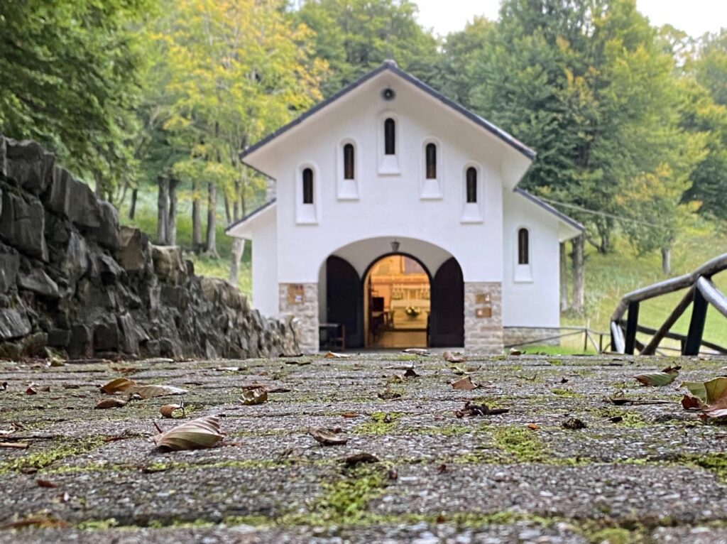 xr:d:DAFAXfxw3aA:64,j:34818014847,t:22090813